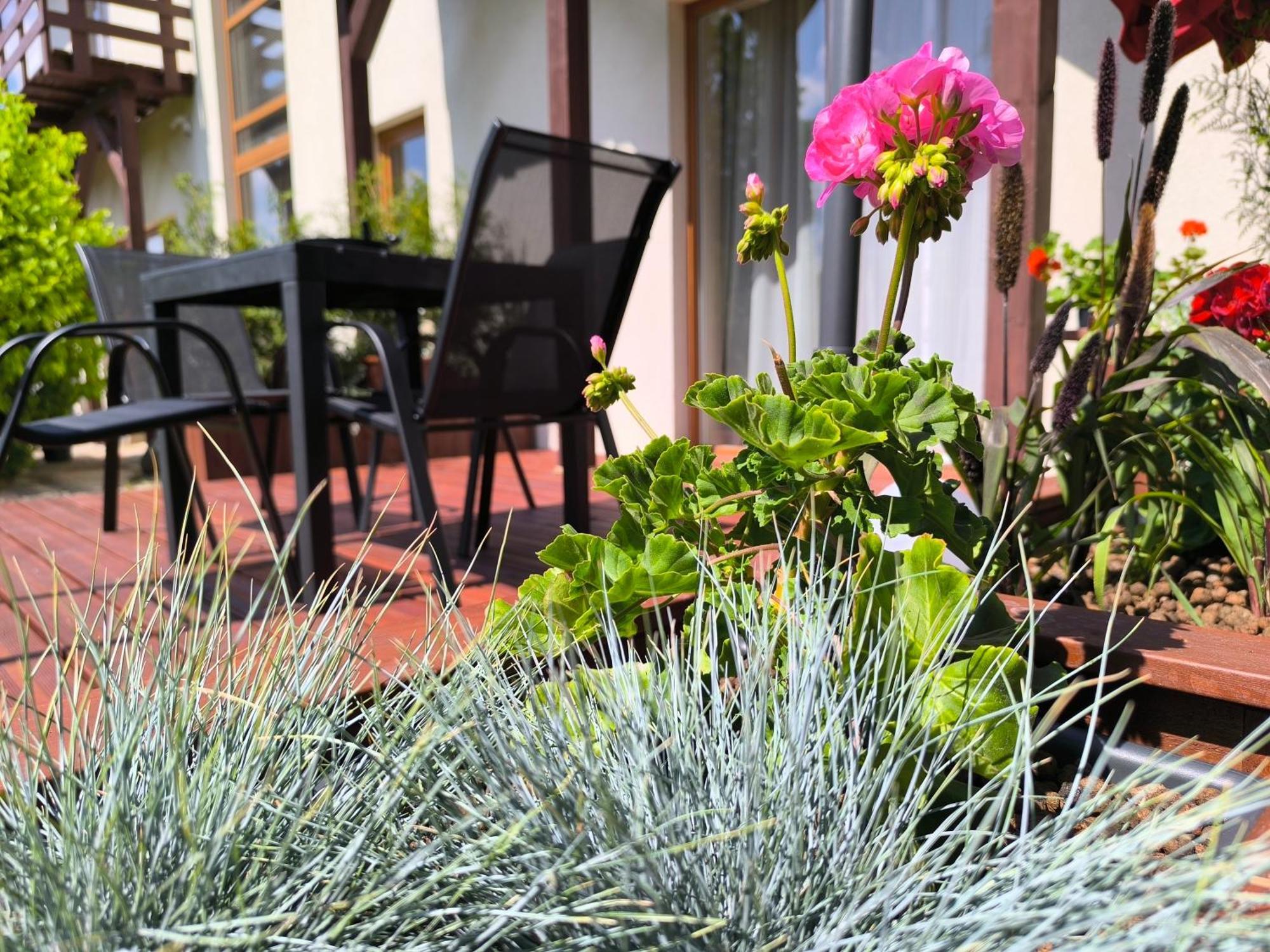Flip-Flops Apartment Jurmala With Free Parking Bagian luar foto